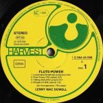 Lenny Mac Dowell – Flute Power LP Plak - Görsel 3