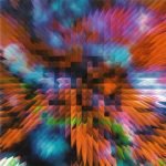 ELpH vs Coil ‎– Worship The Glitch CD