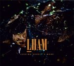 LHAM – Leaving Hardly A Mark CD