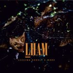 LHAM – Leaving Hardly A Mark CD