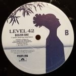Level 42 – Turn It On 12'' Maxi Single Plak - Görsel 4