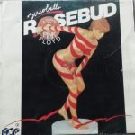 Rosebud – Discoballs (A Tribute To Pink Floyd) LP Plak