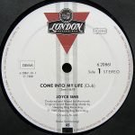 Joyce Sims – Come Into My Life 12'' Maxi Single Plak (Early House) - Görsel 2