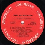 Mountain – The Best Of Mountain LP Plak - Görsel 4