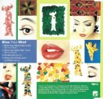 Jamiroquai – Blow Your Mind CD Single - Görsel 2