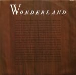 Erasure – Wonderland LP Plak - Görsel 6