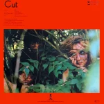 The Slits – Cut LP Plak - Görsel 2