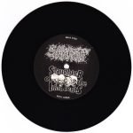 Sakatat / Slaughter Of The Innocents Split 45lik Plak - Görsel 3