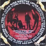 The Fuzztones – In Heat LP Plak - Görsel 2