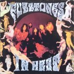 The Fuzztones – In Heat LP Plak