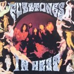 The Fuzztones – In Heat LP Plak