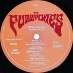 The Fuzztones – In Heat LP Plak - Görsel 3