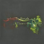 Şebnem Ferah – Benim Adım Orman CD
