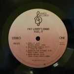 Fat Larry's Band – Feel It  LP Plak - Görsel 3