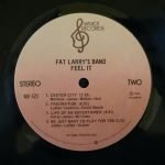 Fat Larry's Band – Feel It  LP Plak - Görsel 2
