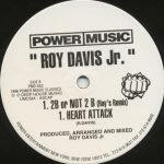 Roy Davis Jr 12" Maxi Single Plak (Chicago House) - Görsel 2