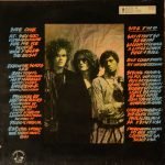 Executive Slacks – Fire & Ice LP Plak - Görsel 4