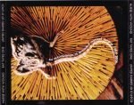Nurse With Wound ‎– Rat Tapes One CD - Görsel 3