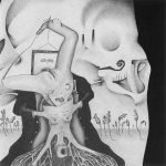 Nurse With Wound – Sugar Fish Drink (A Layman's Guide To Cod Surrealism*) CD - Görsel 5