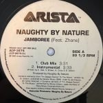Naughty By Nature Feat. Zhane – Jamboree 12" Maxi Single Plak