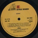 Family – Anyway LP Plak - Görsel 3