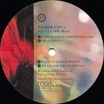Cocteau Twins ‎– Echoes In A Shallow Bay 12" Maxi Single Plak - Görsel 3