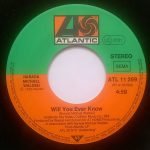 Narada Michael Walden – I Don't Want Nobody Else (To Dance With You) 45'lik Plak - Görsel 4