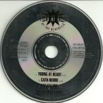 The Bluebells – Young At Heart CD Single - Görsel 2