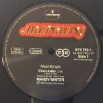 Mandy Winter – He's A Man 12" Maxi Single Plak - Görsel 2