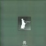 V (Virgin Label Compilation) 2LP Plak - Görsel 2