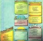 V (Virgin Label Compilation) 2LP Plak - Görsel 5