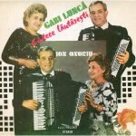 Gabi Luncă, Ion Onoriu – Cîntece Lăutărești (Anii Mei Și Tinerețea) LP Plak