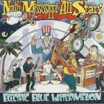 North Mississippi Allstars – Electric Blue Watermelon CD