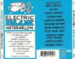 North Mississippi Allstars – Electric Blue Watermelon CD - Görsel 3