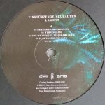 Einstürzende Neubauten – Lament 2LP Plak - Görsel 4