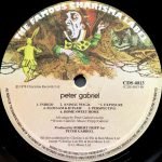 Peter Gabriel – Peter Gabriel LP Plak - Görsel 2