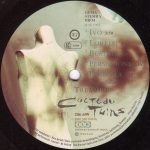 Cocteau Twins – Treasure LP Plak - Görsel 3
