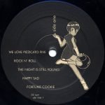 Pizzicato Five ‎– The Sound Of Music 2LP Plak (Acid Jazz) - Görsel 3