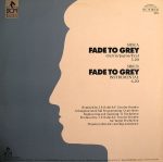 Neon – Fade To Grey 12" Maxi Single Plak (New Beat) - Görsel 2