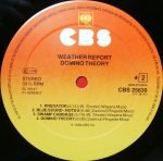 Weather Report – Domino Theory LP Plak - Görsel 3