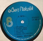 Emel Sayın – Emel'in Dünyası LP Plak - Görsel 5
