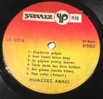 Muazzez Abacı – Dönüş LP Plak - Görsel 6