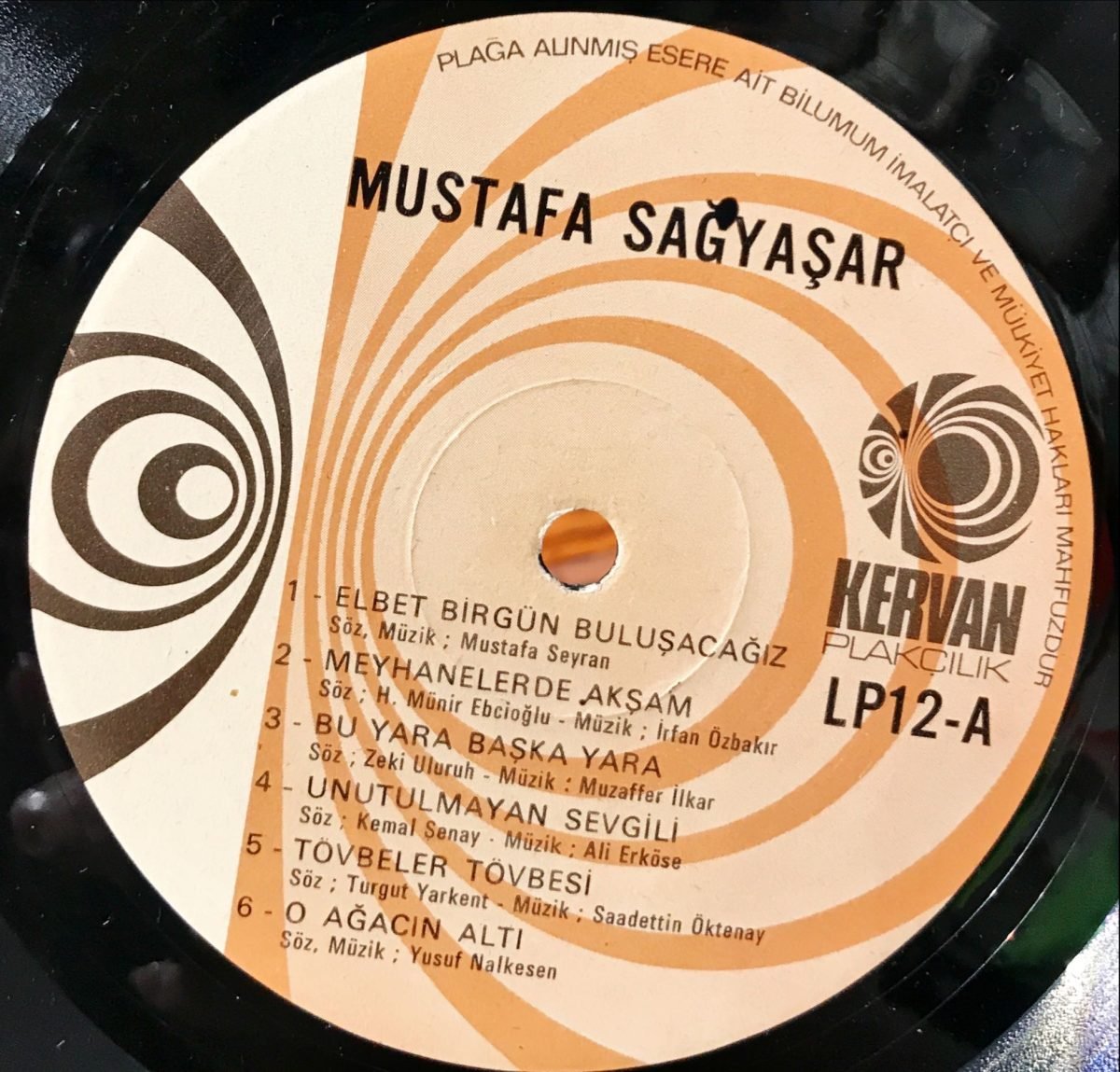 Muazzez Abacı / Mustafa Sağyaşar LP Plak - Görsel 3