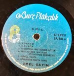 Emel Sayın 76 LP Plak - Görsel 7