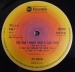 Joe Walsh – You Can't Argue With A Sick Mind LP Plak - Görsel 5