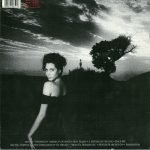 Duran Duran – Notorious LP Plak - Görsel 2