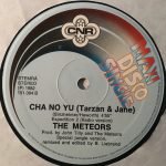 The Meteors – Cha No Yu (Tarzan & Jane) 12'' Maxi Single Plak - Görsel 2