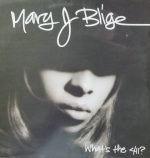 Mary J Blige ‎– What's The 411? LP Plak
