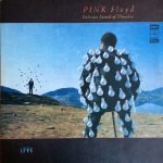 Pink Floyd – Delicate Sound Of Thunder 2LP Plak