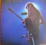 Joe Walsh – You Can't Argue With A Sick Mind LP Plak - Görsel 3